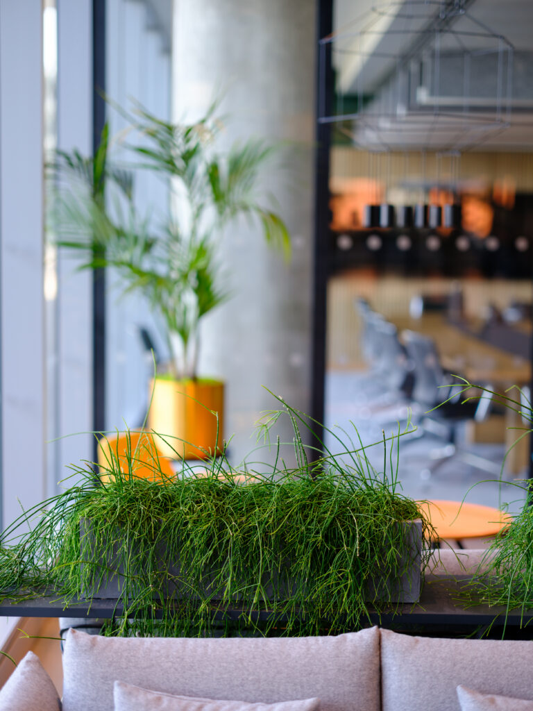 A modern indoor space with green potted plants, a grey concrete column, bright natural light from large windows, and soft beige cushioned seating in the foreground.
